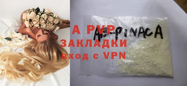СК Новозыбков