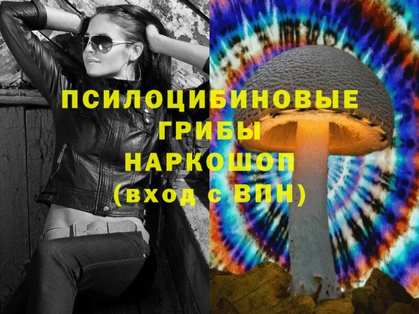 дживик Новокубанск