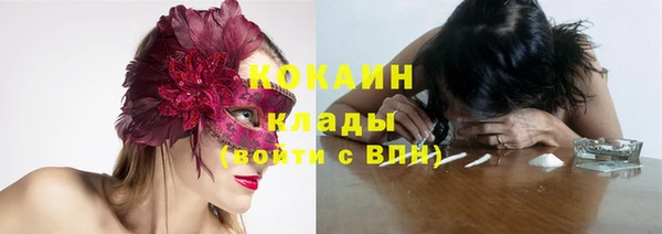 СК Новозыбков