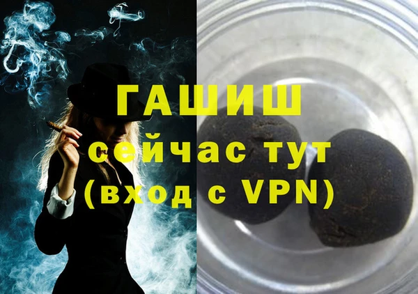 гидра Новодвинск