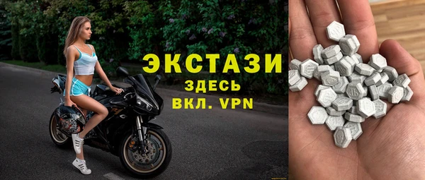 гидра Новодвинск