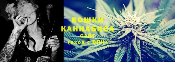 СК Новозыбков
