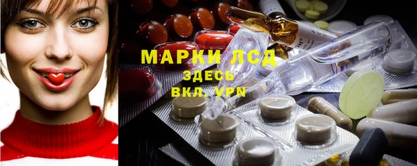 гидра Новодвинск