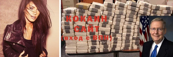 СК Новозыбков