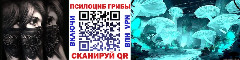 Псилоцибиновые грибы Magic Shrooms  omg зеркало  Куртамыш 