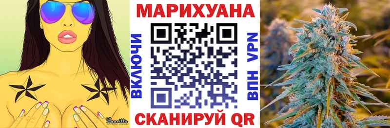 магазин  наркотиков  Куртамыш  блэк спрут онион  Бошки марихуана индика 